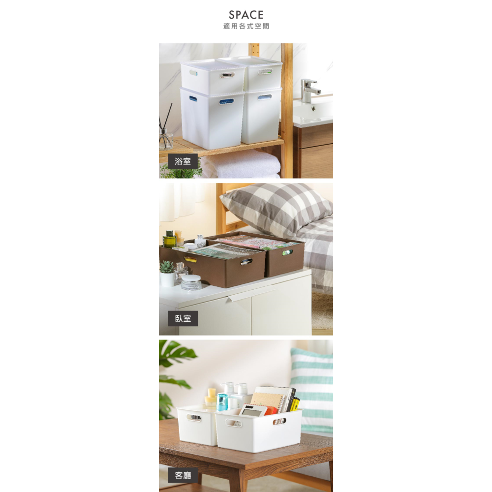 Keyway 聯府 博多收納盒/盤 TBD10 TBD20 TBD30 TBD40 TLD123 TLD343 開放式-細節圖4