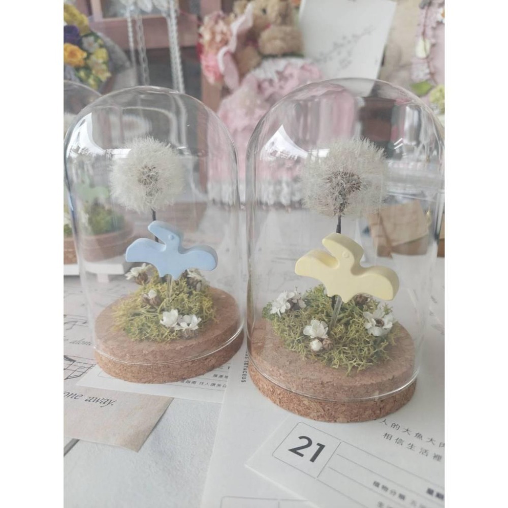 貓魚手作｜獨家設計 小翼龍的家🏝️ 永生蒲公英玻璃罩 不凋蒲公英 恐龍玻璃罩 翼龍 石膏 擴香石 侏儸紀-細節圖2