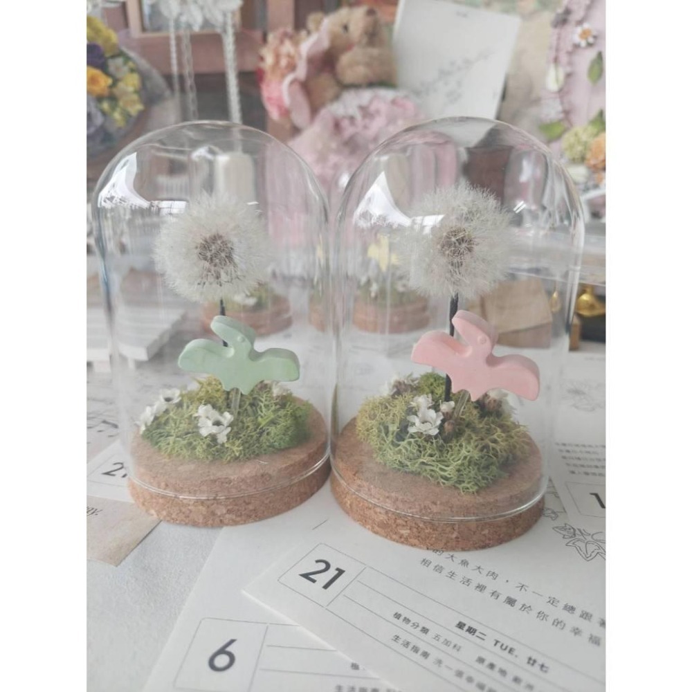 貓魚手作｜獨家設計 小翼龍的家🏝️ 永生蒲公英玻璃罩 不凋蒲公英 恐龍玻璃罩 翼龍 石膏 擴香石 侏儸紀-細節圖3