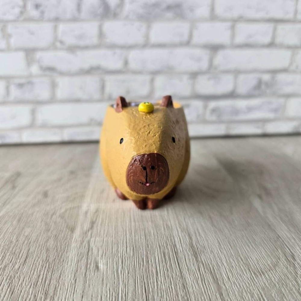 貓魚手作|水豚君 卡比巴拉 日本花器 迷你花盆 水豚花盆 多肉盆栽 Greenhouse-細節圖2