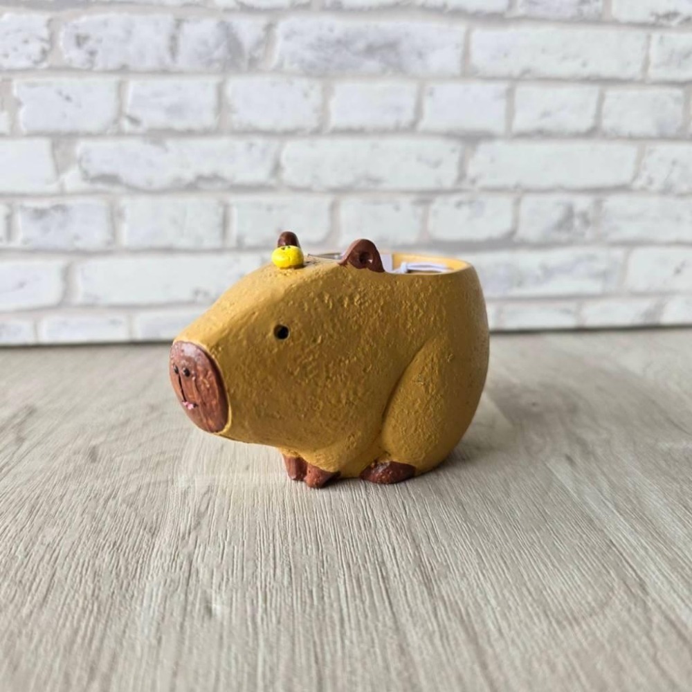 貓魚手作|水豚君 卡比巴拉 日本花器 迷你花盆 水豚花盆 多肉盆栽 Greenhouse-細節圖3