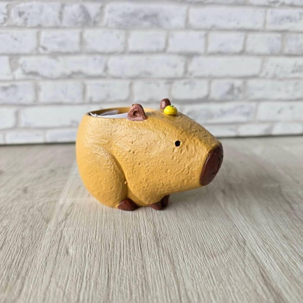 貓魚手作|水豚君 卡比巴拉 日本花器 迷你花盆 水豚花盆 多肉盆栽 Greenhouse-細節圖4