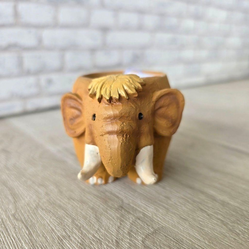 貓魚手作| 日本品牌 猛瑪象 史前生物 迷你花器 多肉盆栽 Green house-細節圖2