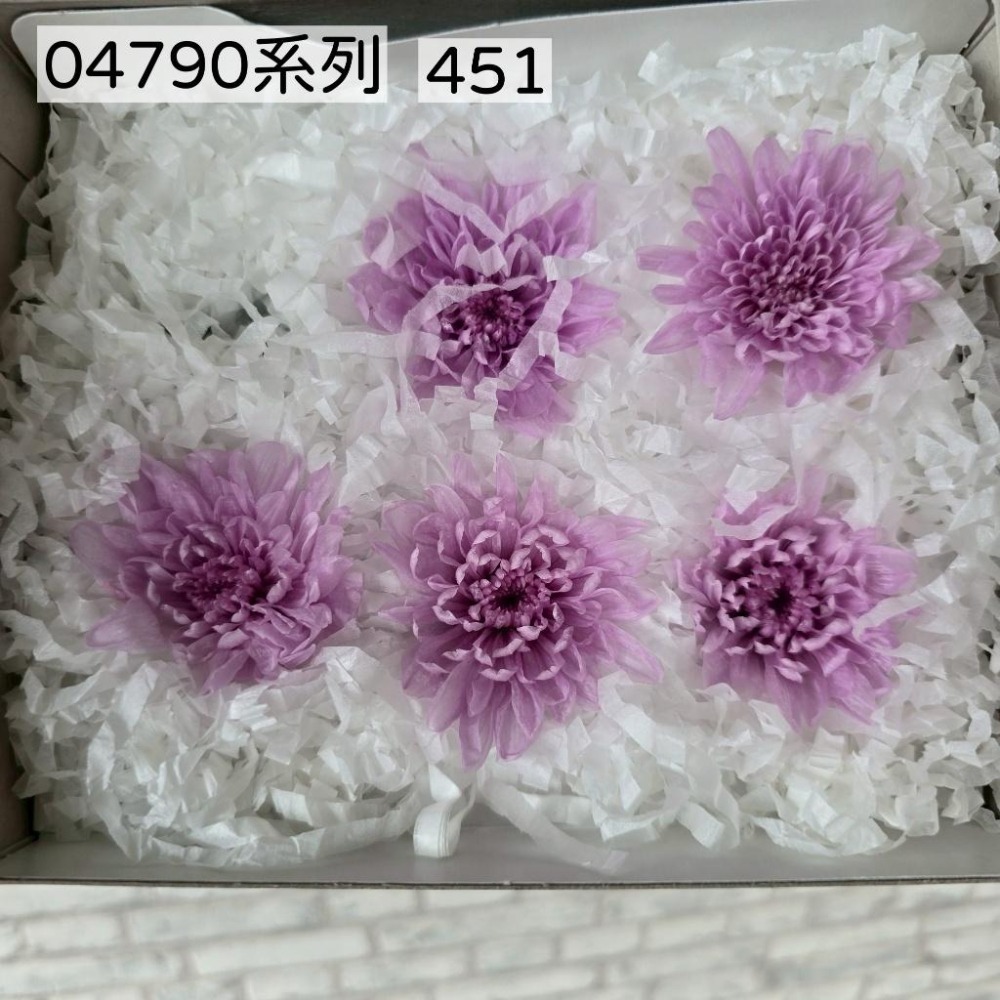 貓魚手作｜限量出清🌸日本大地農園 永生非洲菊 乒乓菊 小菊 百日草 新手入坑首選 練習打樣必備 便宜好玩不心痛-細節圖6