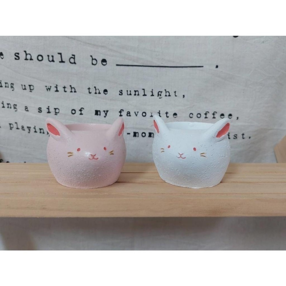 貓魚手作|十二生肖區 白蛇 白兔 粉兔 兔花盆 蛇花盆 生肖花盆 日本花器 迷你花盆 多肉盆栽-細節圖2