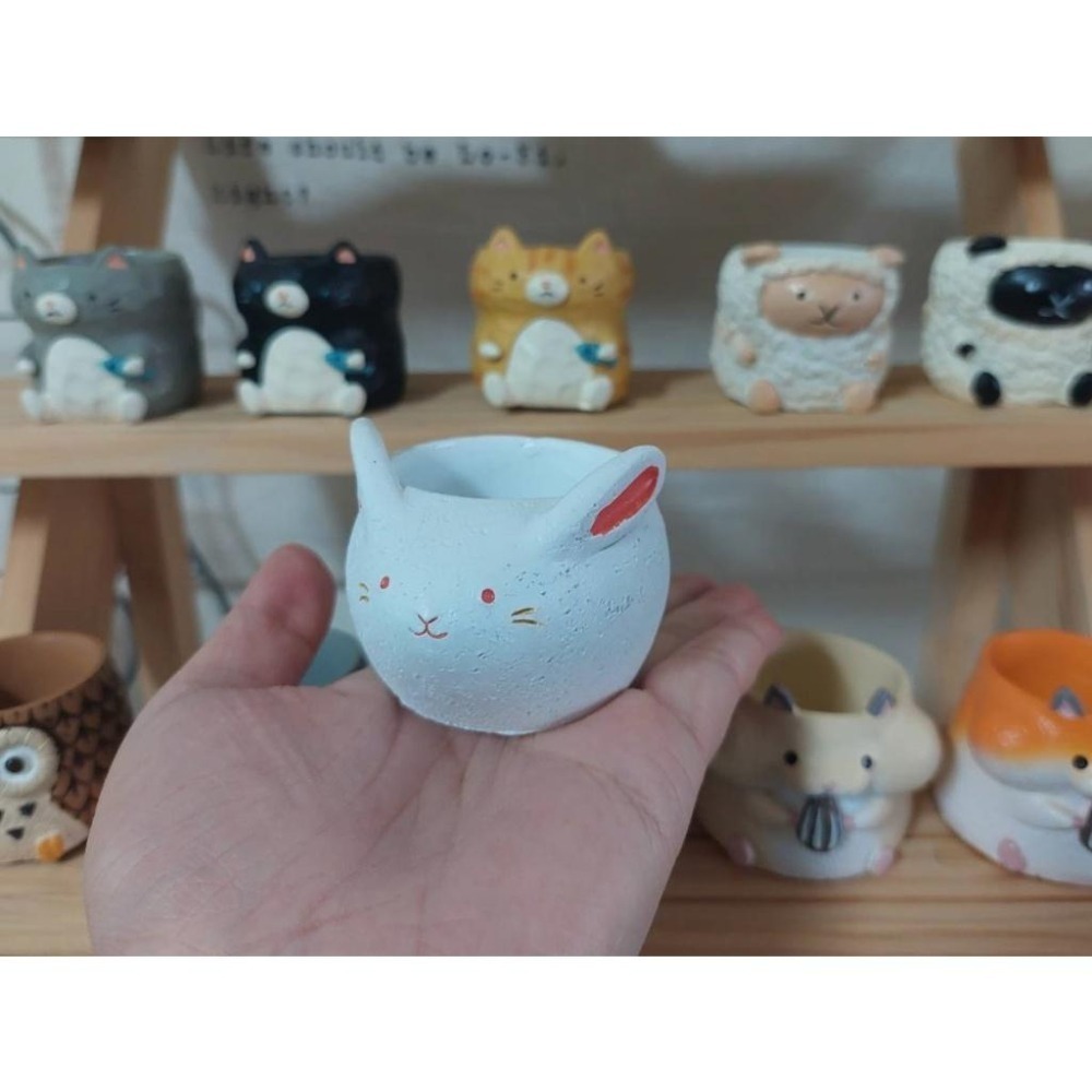貓魚手作|十二生肖區 白蛇 白兔 粉兔 兔花盆 蛇花盆 生肖花盆 日本花器 迷你花盆 多肉盆栽-細節圖3