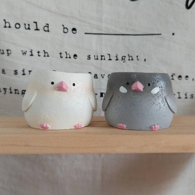 貓魚手作|小鳥區銀尾山雀花盆 貓頭鷹花盆 文鳥花盆  日本花器 迷你花盆 多肉盆栽 Greenhouse-細節圖2