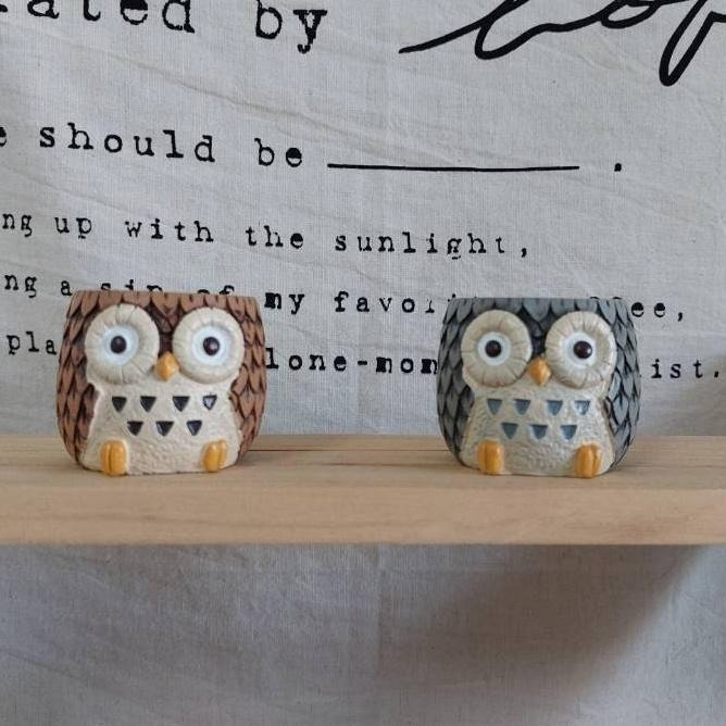 貓魚手作|小鳥區銀尾山雀花盆 貓頭鷹花盆 文鳥花盆  日本花器 迷你花盆 多肉盆栽 Greenhouse-細節圖6