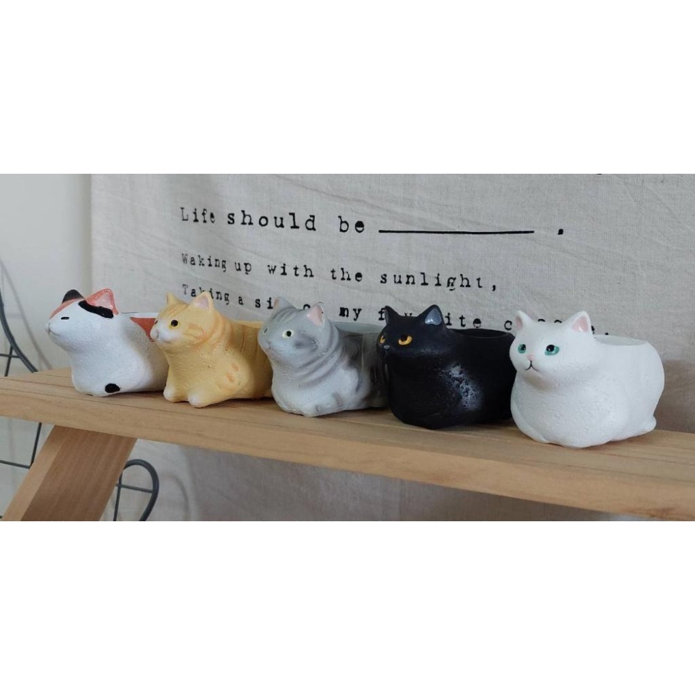 貓魚手作|三花貓 虎斑貓 黑貓 白貓 貓咪花盆 母雞蹲貓 萌萌肉球 日本花器 迷你花盆 多肉盆栽-細節圖2
