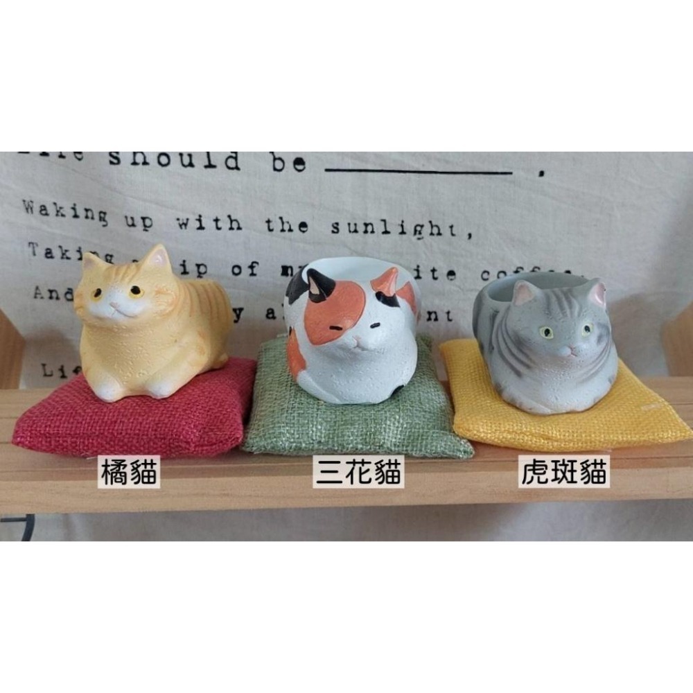貓魚手作|三花貓 虎斑貓 黑貓 白貓 貓咪花盆 母雞蹲貓 萌萌肉球 日本花器 迷你花盆 多肉盆栽-細節圖3