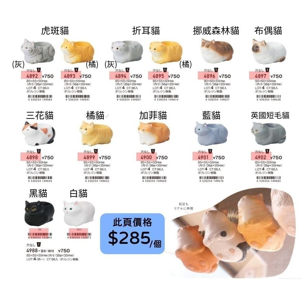 貓魚手作|三花貓 虎斑貓 黑貓 白貓 貓咪花盆 母雞蹲貓 萌萌肉球 日本花器 迷你花盆 多肉盆栽-細節圖5