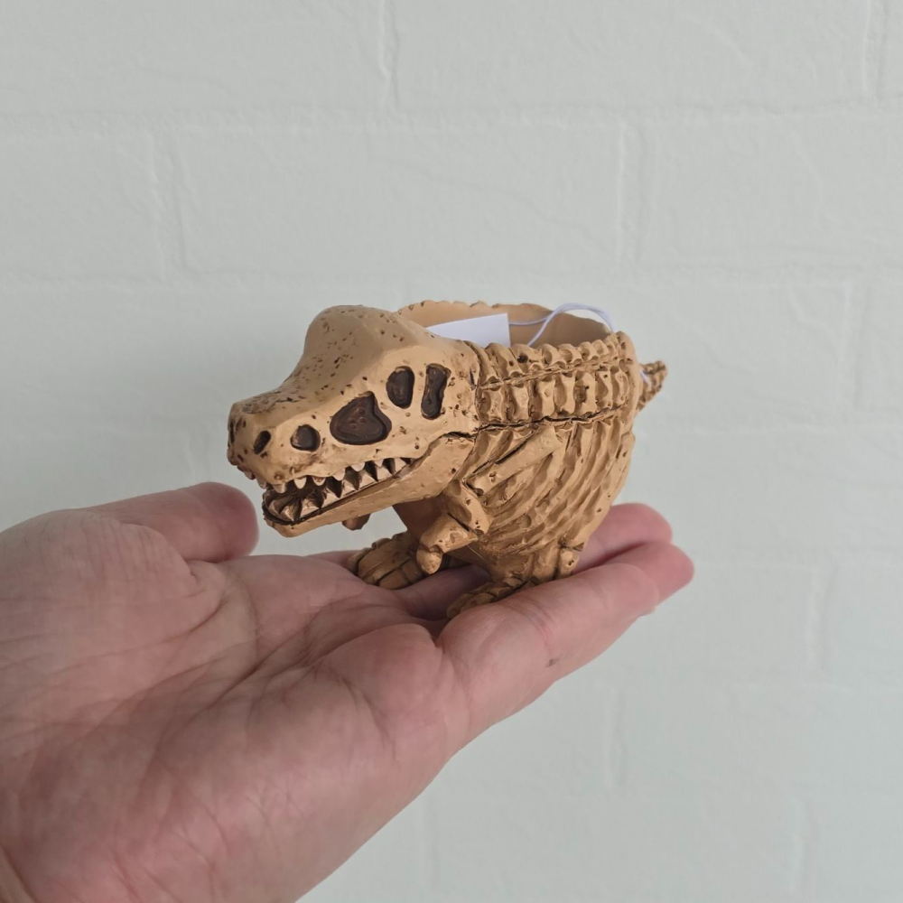 貓魚手作| 日本進口恐龍花器 化石暴龍 化石三角龍 迷你花器 多肉盆栽 Green house-細節圖3