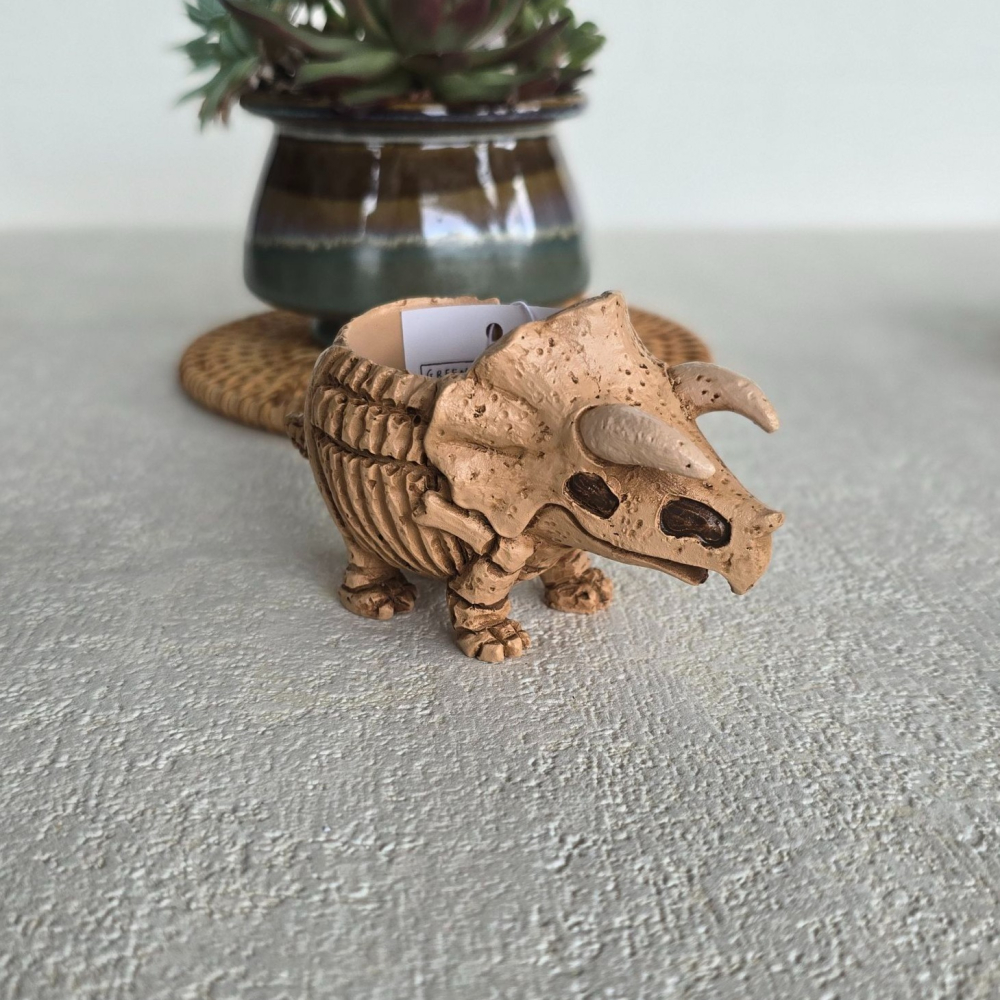 貓魚手作| 日本進口恐龍花器 化石暴龍 化石三角龍 迷你花器 多肉盆栽 Green house-細節圖4