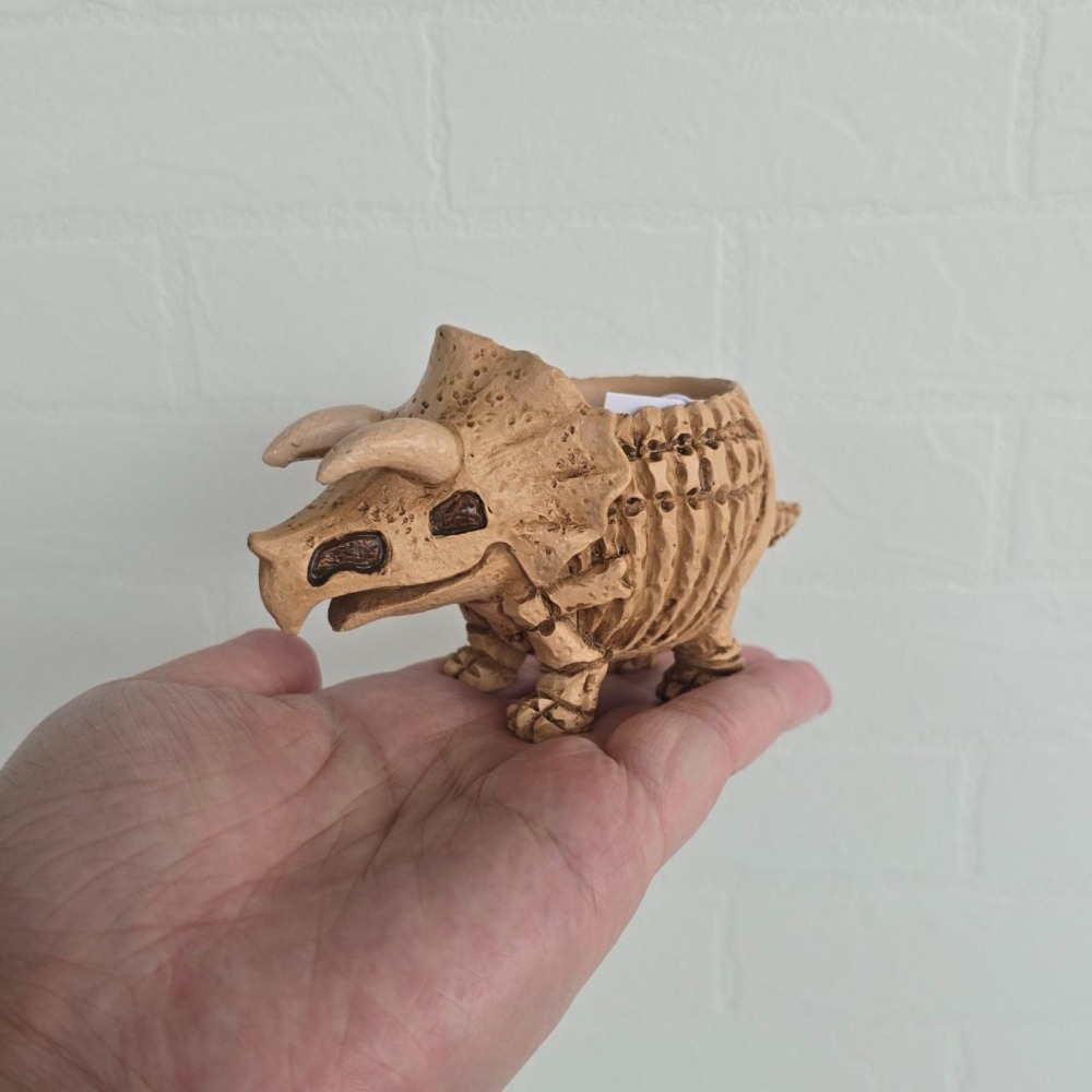 貓魚手作| 日本進口恐龍花器 化石暴龍 化石三角龍 迷你花器 多肉盆栽 Green house 多肉花器 恐龍造型花器-細節圖5