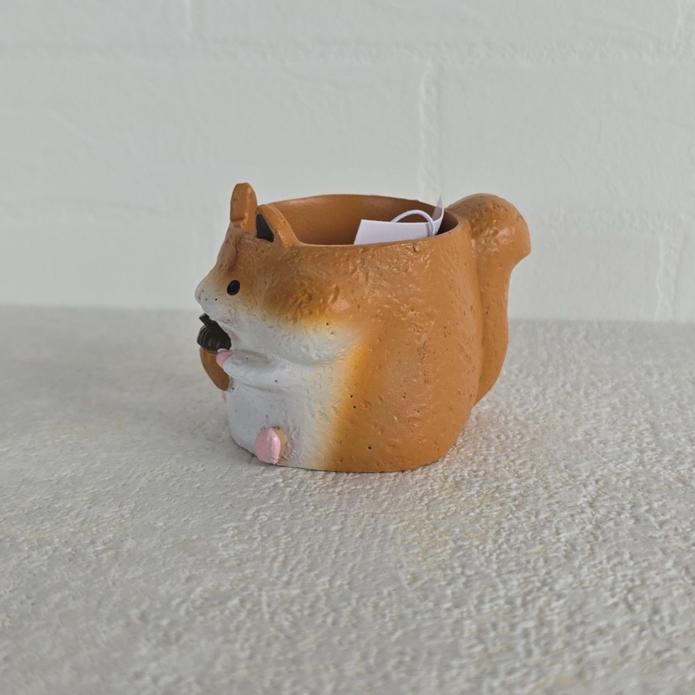 貓魚手作| 松鼠 小動物日本進口花器 迷你花器 多肉盆栽 Greenhouse-細節圖2