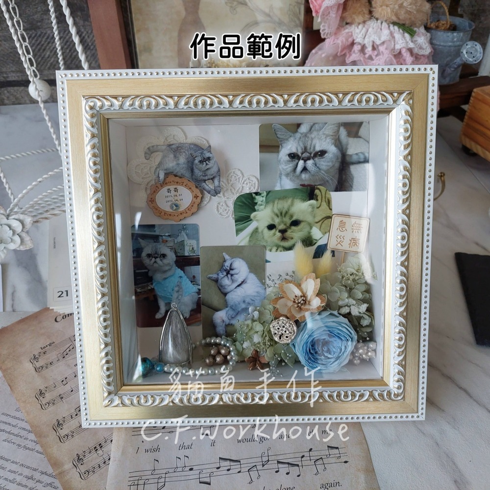 【清倉特價】15cm方框 立體中空 DIY相框 花相框 日本進口 cazaro 公仔收納 周邊收納 推活祭壇追星展示-細節圖2