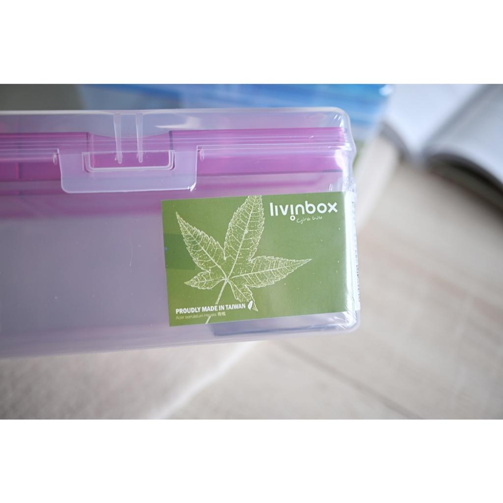 台灣製樹德月光手提箱TB-300 置物箱手提盒工具文具置物盒收納盒藍色粉紅-細節圖3