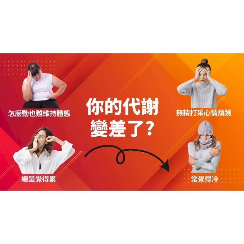 美得孅爆燃代謝-細節圖3