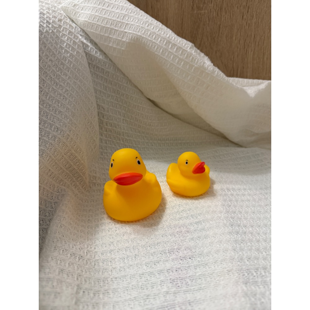 全新_恐龍洗澡玩具和三隻鴨子 共$100-細節圖3