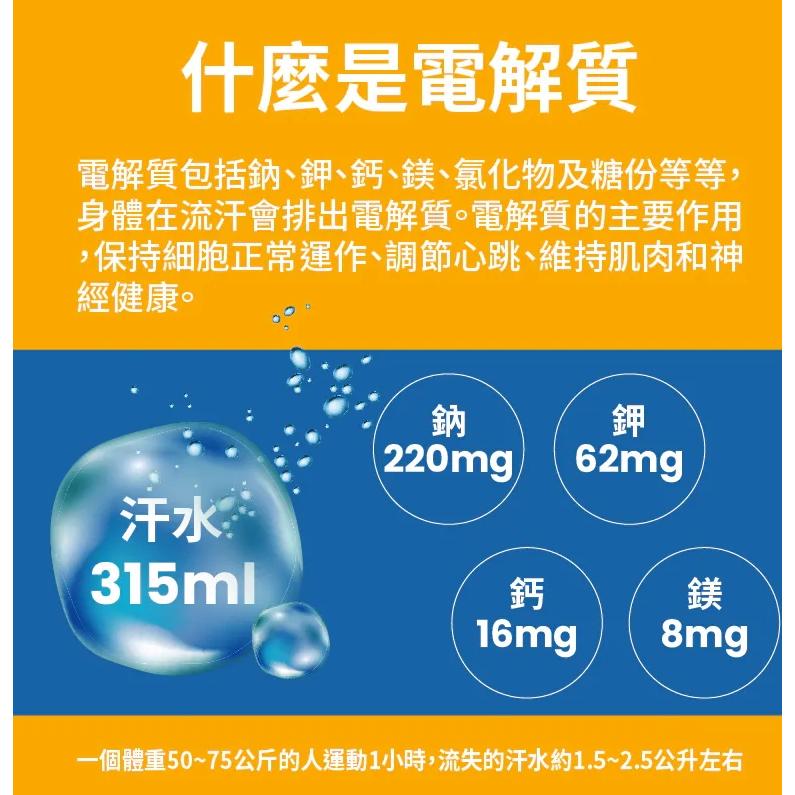 【單車元素】WiNSPORTS 電解質能量粉末 電解質沖泡粉 電解質能量粉 (沖泡式多口味)-細節圖3