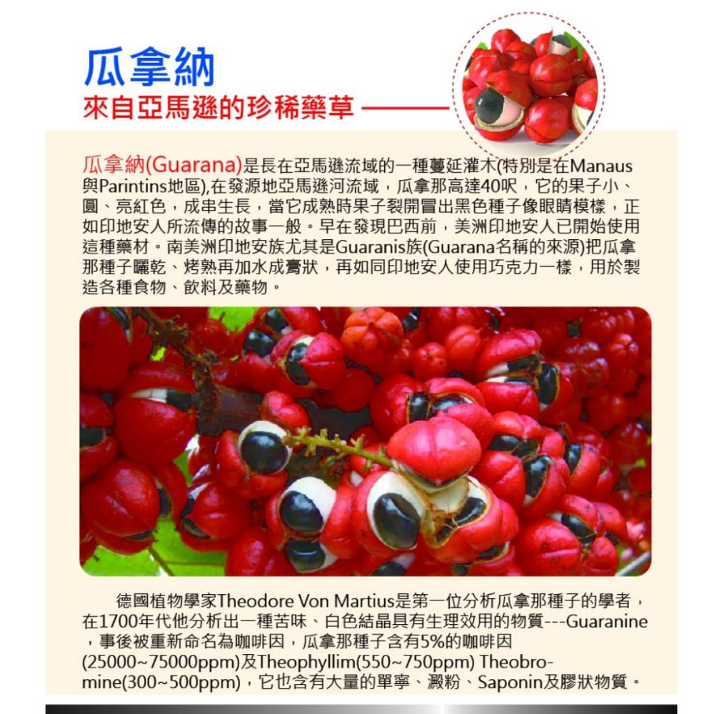 【單車元素】AminoMax 邁克仕 CAFFINE BOOM 咖啡因膠囊  1小包4粒 (咖啡因、提神)-細節圖5