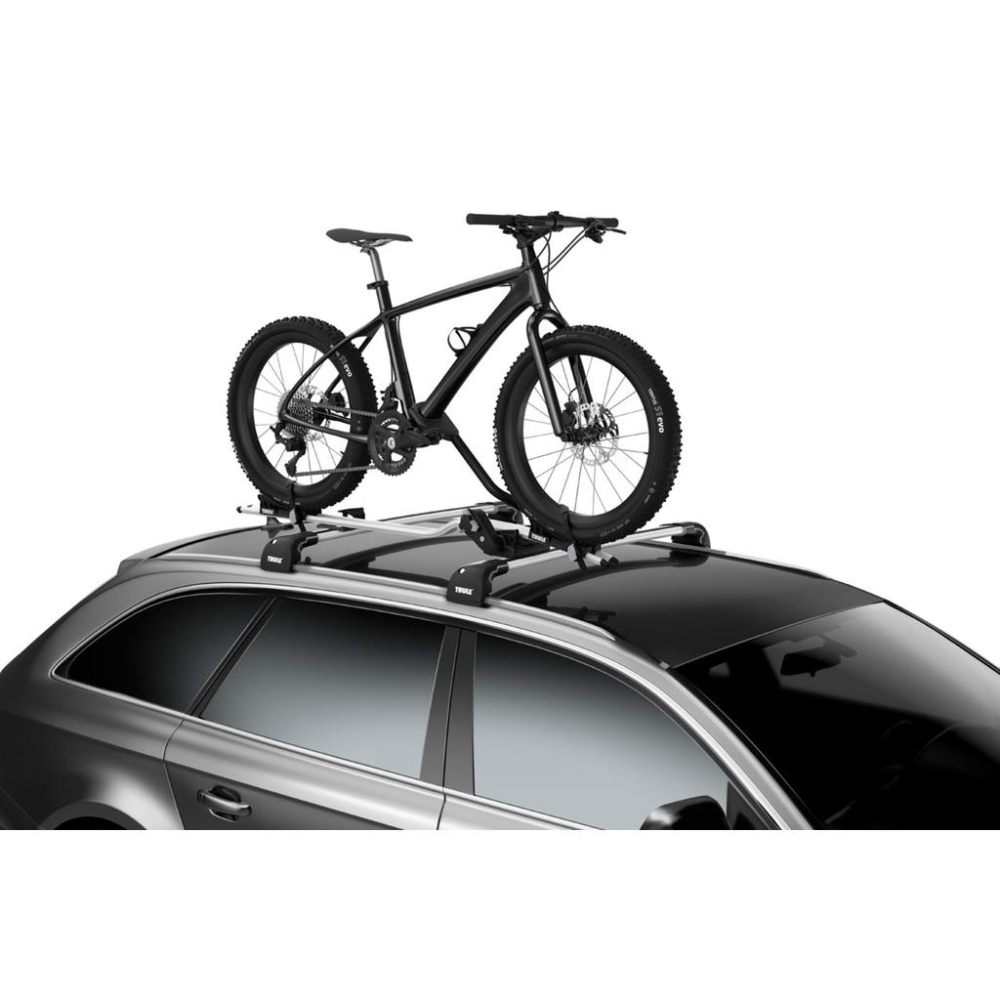 【單車元素】THULE 都樂 ProRide Fatbike Adapter 胖胎車 (5981 胖胎車專用配件)-細節圖3