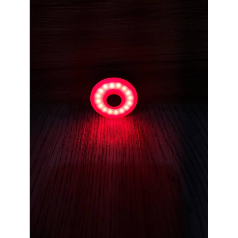 【單車元素】充電式 LED BIKE TAIL LAMP 自行車 尾燈 後燈 5種模式-細節圖3