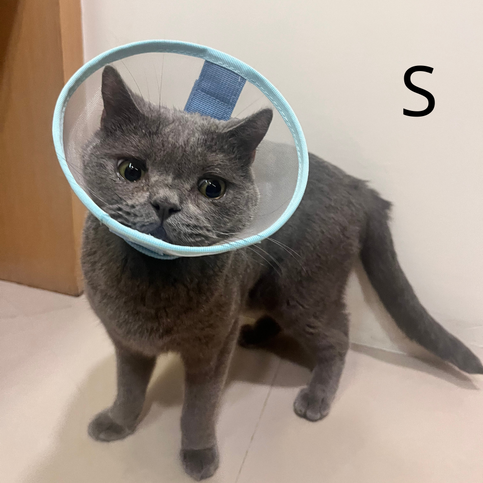 寵物防舔頭套 透氣紗網｜現貨熱銷｜防舔防抓 狗頭套 貓頭套  絕育頭套 結紮頭套 伊莉莎白圈-細節圖6