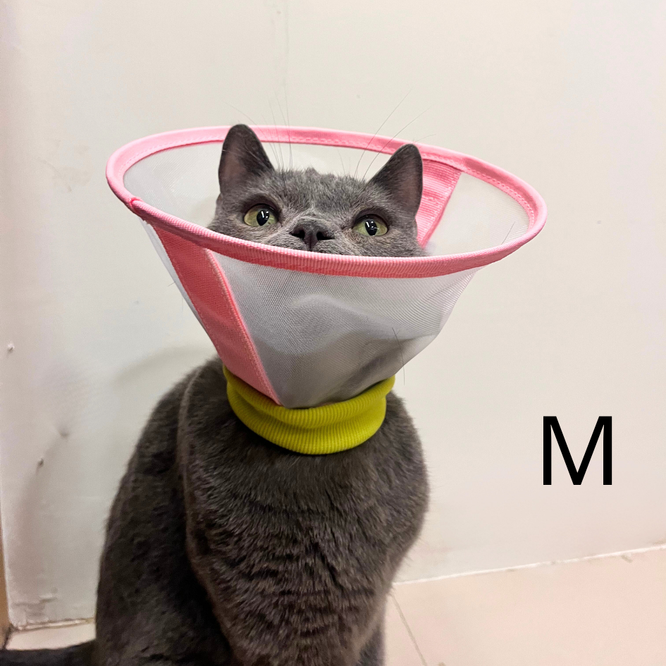 寵物防舔頭套 透氣紗網｜現貨熱銷｜防舔防抓 狗頭套 貓頭套  絕育頭套 結紮頭套 伊莉莎白圈-細節圖7