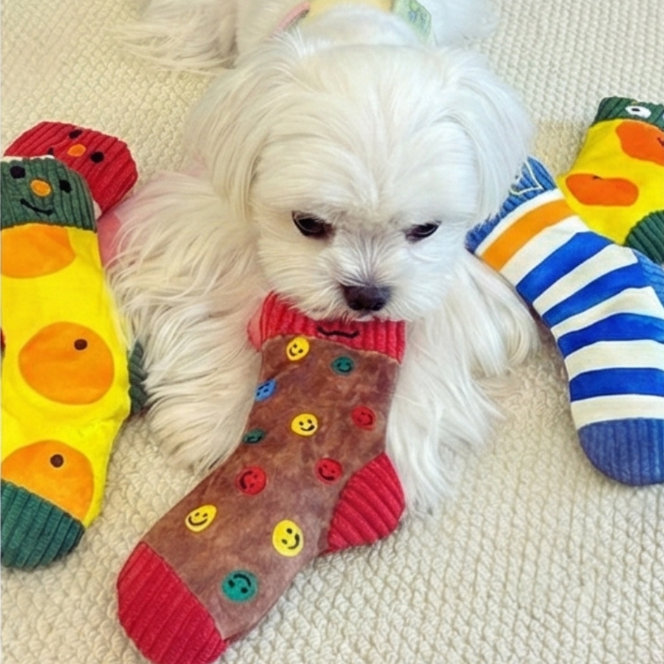 狗狗藏食襪子玩具 發聲響紙嗅聞襪丨多巴胺玩具 發聲玩具 嗅聞玩具 解悶消耗體力 寵物玩具 狗狗玩具-細節圖2