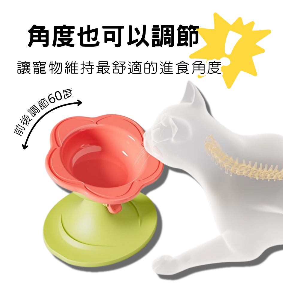 大口徑升降寵物碗｜可調節增高碗 貓狗通用 陶瓷碗組 防滑護頸 寵物餐碗 扁臉友好-細節圖7