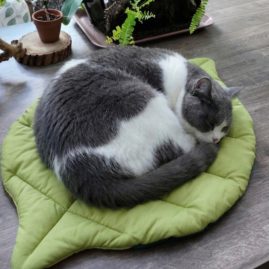 森林系療癒葉子睡墊｜可折疊收納 四季適用 貓床 寵物地墊 睡床-細節圖6