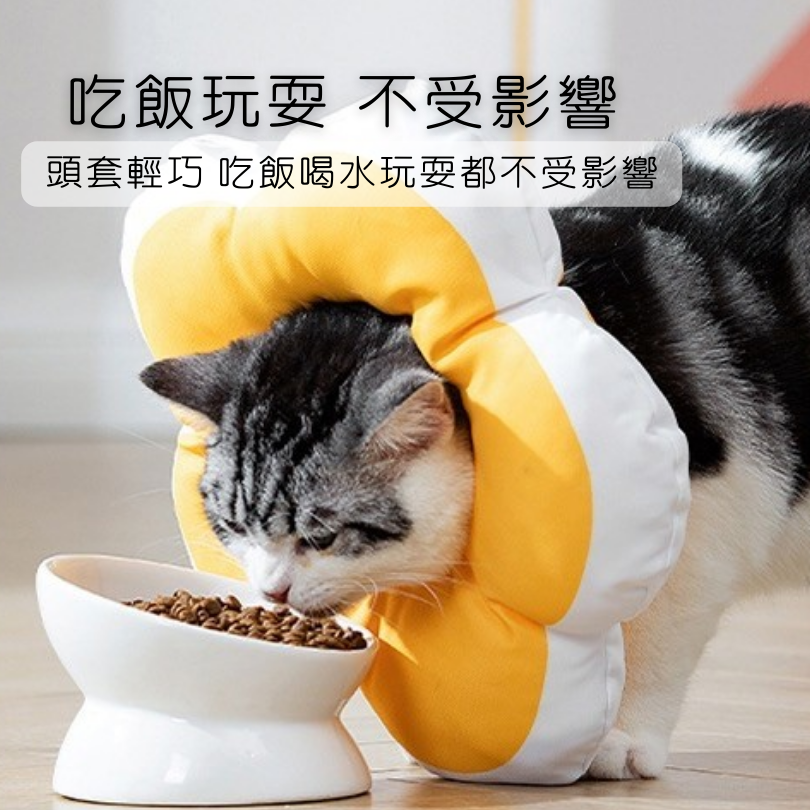【萌寵復原首選】花朵柔軟防舔頭套｜貓狗通用 術後防舔咬 舒適不壓頸 脖圍可調 柔軟棉質防抓圈 結紮復原必備-細節圖2