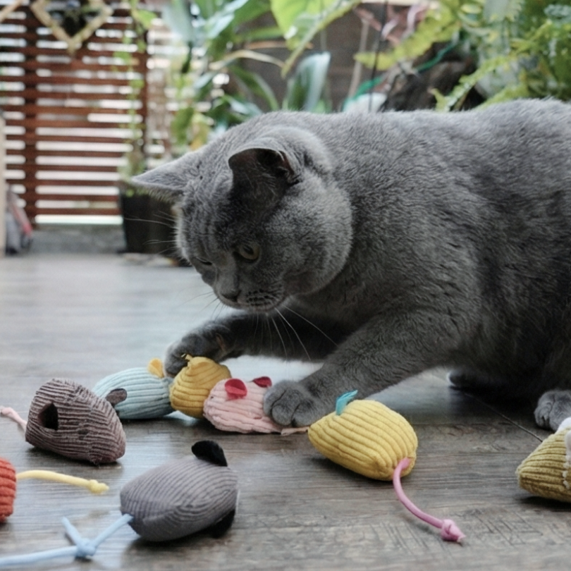 貓薄荷自嗨小老鼠｜仿真小老鼠 磨牙玩具 靜音耐咬 紓壓自嗨 貓咪玩具 (多色隨機)-細節圖4