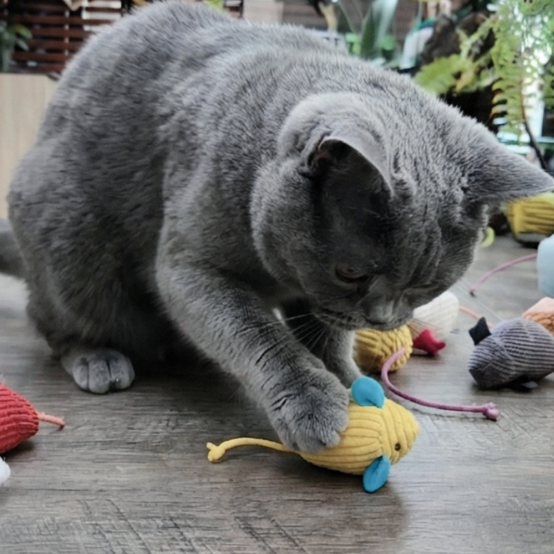 貓薄荷自嗨小老鼠｜仿真小老鼠 磨牙玩具 靜音耐咬 紓壓自嗨 貓咪玩具 (多色隨機)-細節圖6