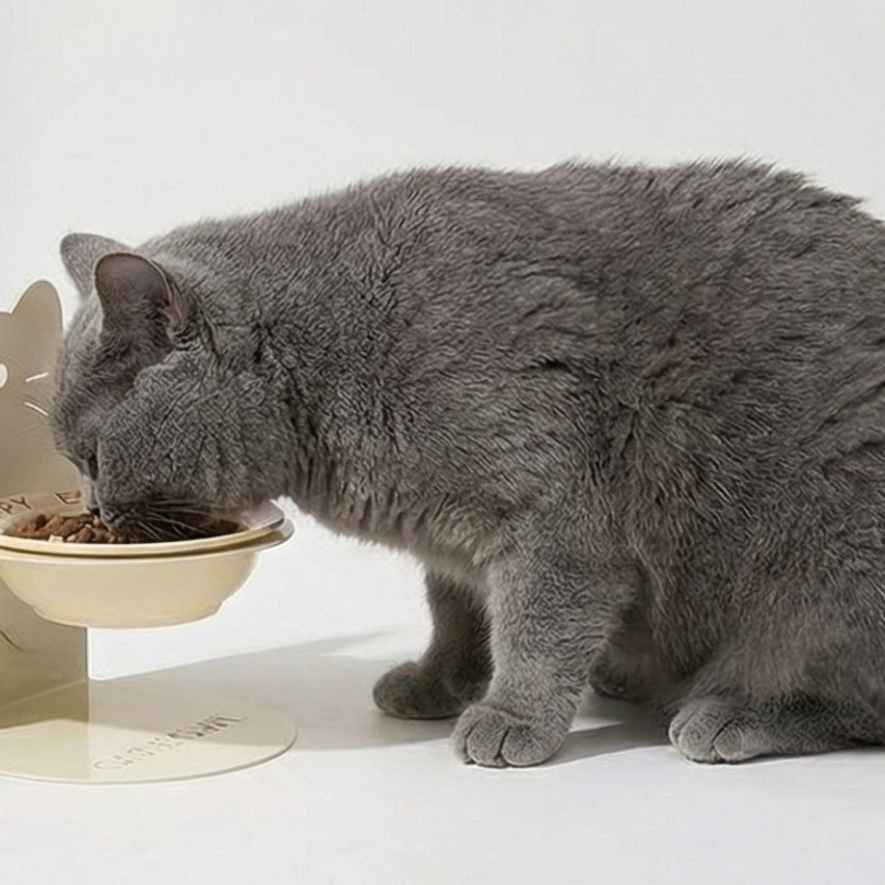 寵物磁吸護頸碗｜高度角度可調 陶瓷 磁吸防翻倒 貓咪中小型犬適用-細節圖2