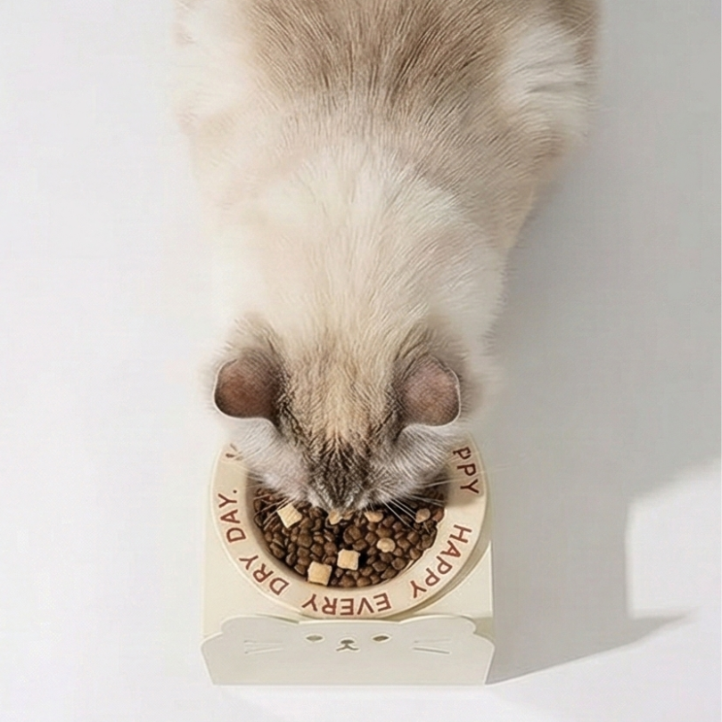 寵物磁吸護頸碗｜高度角度可調 陶瓷 磁吸防翻倒 貓咪中小型犬適用-細節圖4