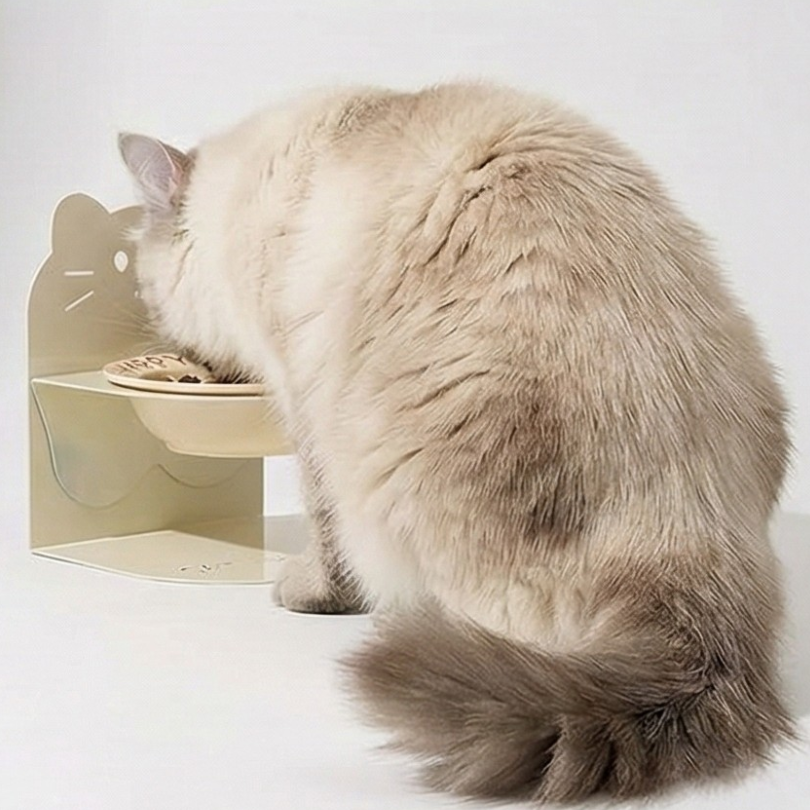 寵物磁吸護頸碗｜高度角度可調 陶瓷 磁吸防翻倒 貓咪中小型犬適用-細節圖5