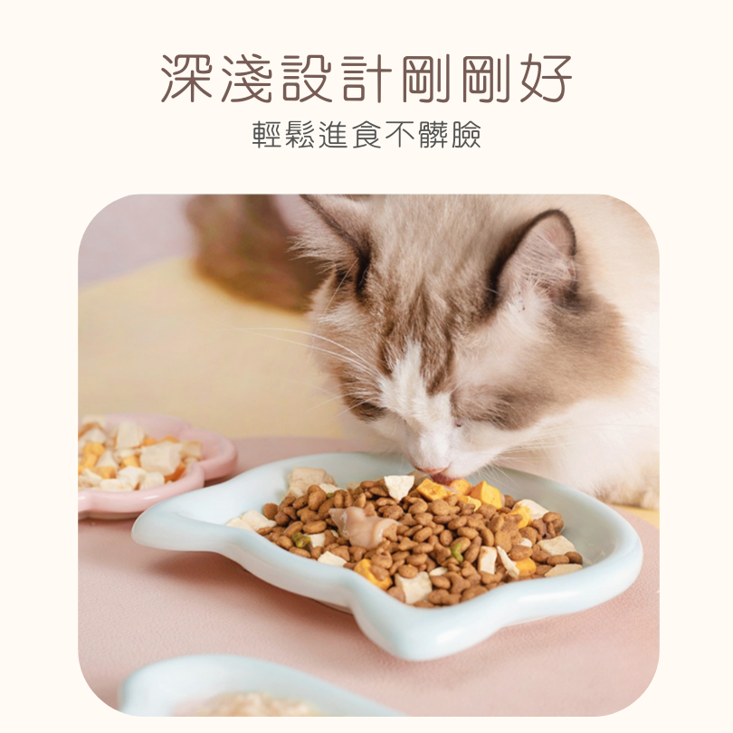 韓系嘟嘟寵物陶瓷盤｜不沾鬍鬚 寬口淺盤 貓咪點心盤 罐頭盤 陶瓷餐具-細節圖4