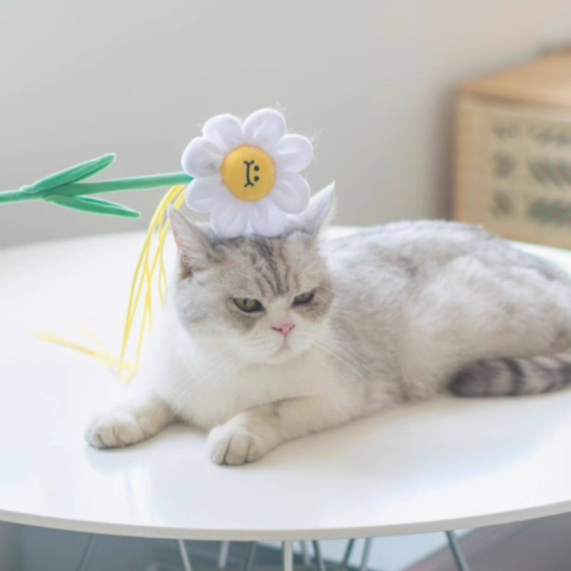 花花 FAFA 逗貓棒｜內含貓薄荷 輕盈尾絲 互動紓壓-細節圖6