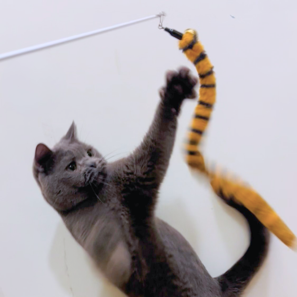 沙發馬鈴薯救星！伸縮懶人逗貓棒｜溫潤原木手柄．擬真長尾．耐甩不費力！-細節圖8