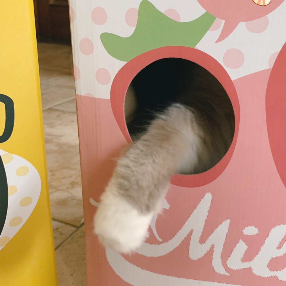 MISSPET 牛奶盒貓窩｜ (贈可伸縮毛絨尾巴逗貓棒) 是貓窩也是貓抓板！加厚瓦楞紙．多款萌趣印花．大空間躲藏屋-細節圖10
