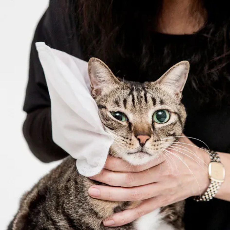 防蚊防蚤擦澡手套(5入/包) bonbonpet 免沖洗 溫和抑菌 貓狗通用 狗狗清潔-細節圖2