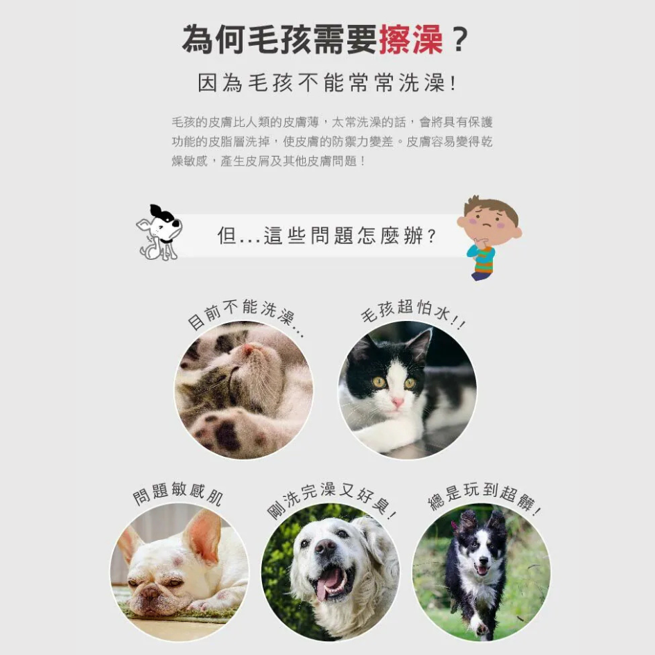 防蚊防蚤擦澡手套(5入/包) bonbonpet 免沖洗 溫和抑菌 貓狗通用 狗狗清潔-細節圖5