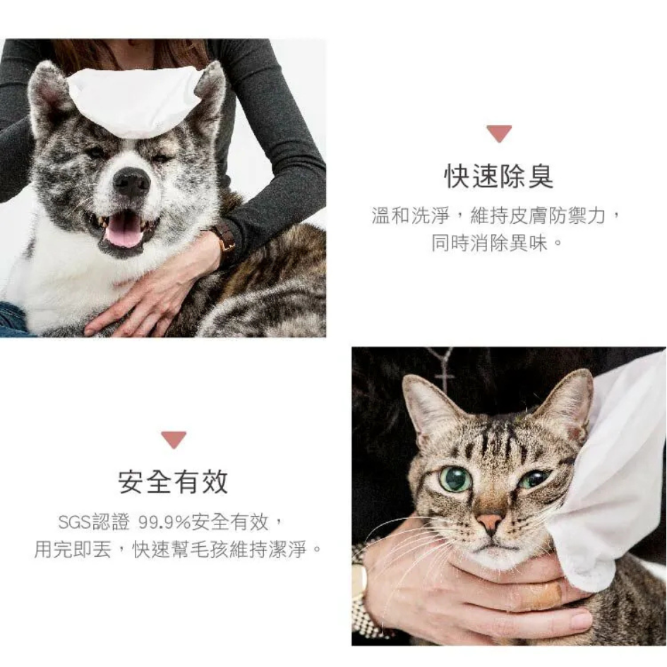 防蚊防蚤擦澡手套(5入/包) bonbonpet 免沖洗 溫和抑菌 貓狗通用 狗狗清潔-細節圖7