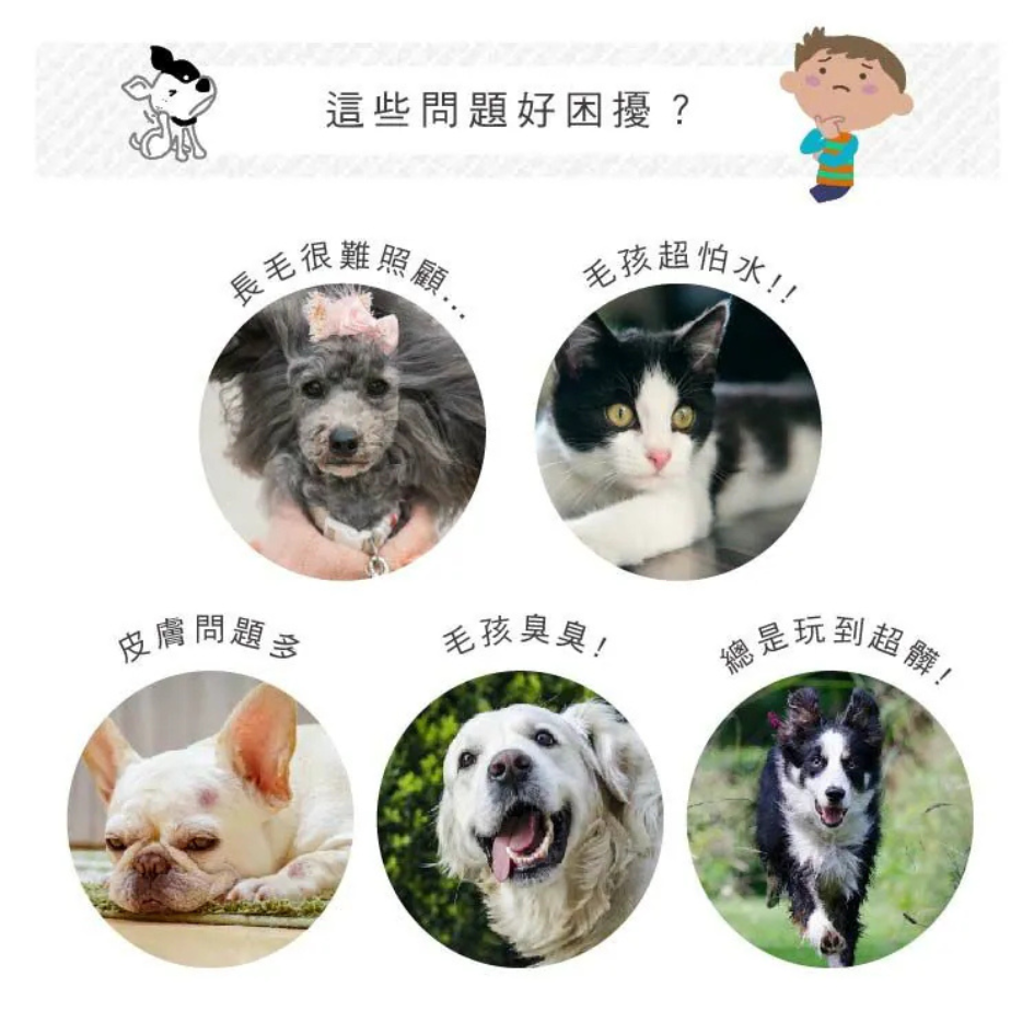 寵物清潔超值套組 寵物防蚊防蚤濕紙巾 (家庭包＋隨身包) bonbonpet 蚊防蟲 溫和清潔 貓狗通用 狗狗濕紙巾-細節圖9