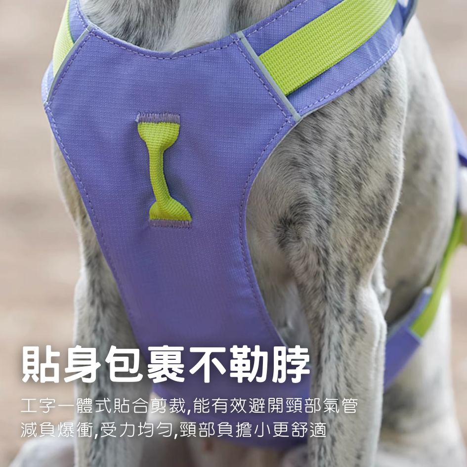 超輕量透氣寵物胸背帶牽繩組 | 寵物牽繩胸背帶 防暴衝 透氣防水 不勒脖 可側背綁腰-細節圖7