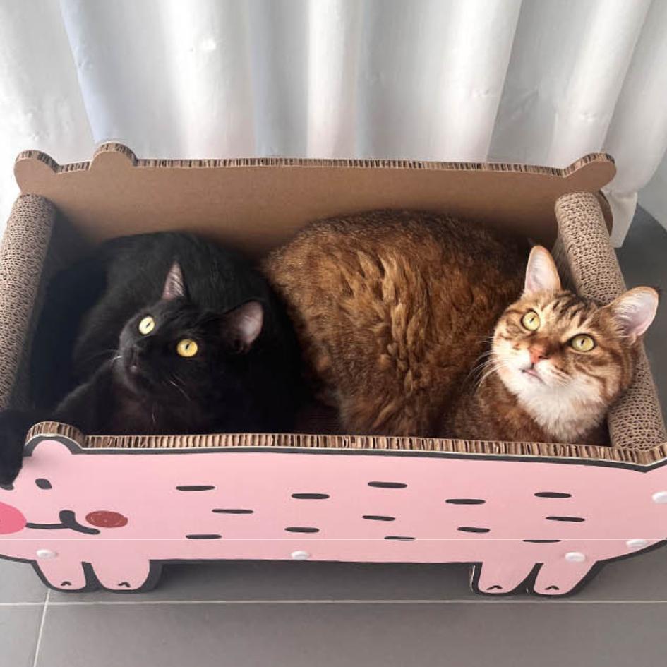 小豬貓抓板｜貓咪玩具 耐磨耐抓 貓窩 貓貓解悶自嗨玩具 貓咪床-細節圖4