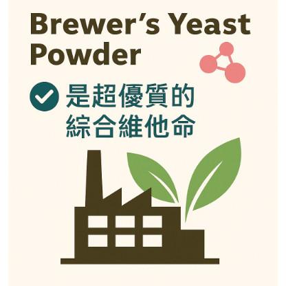 enya 恩亞 500/袋 加拿大 啤酒酵母粉 維他命B群 營養酵母 素食者雞精 可搭配牛奶 豆漿 精力湯 【恩亞生活】-細節圖2