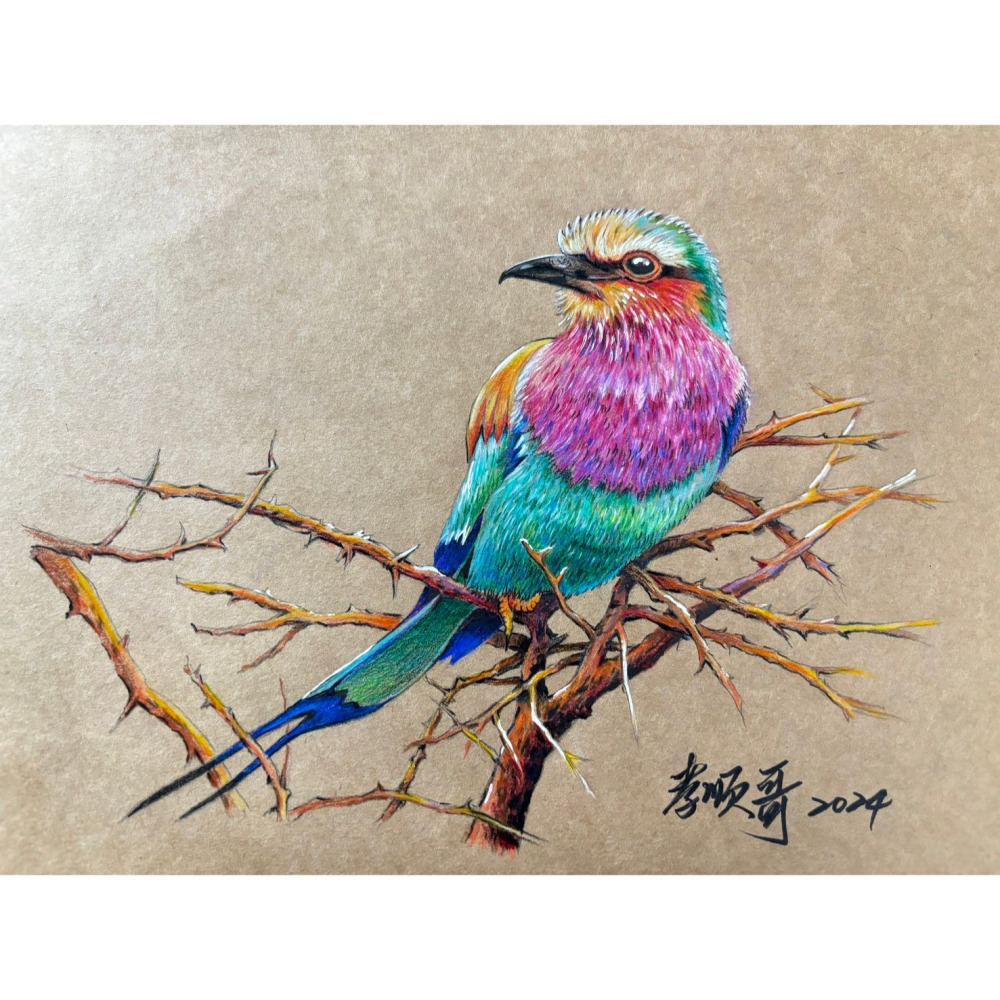 藝城美術~QMOLiU 色鉛筆 水性/油性 雙頭18支36色 4mm 鉛心台灣設計 繪畫基礎必備 限時優惠~~-細節圖6